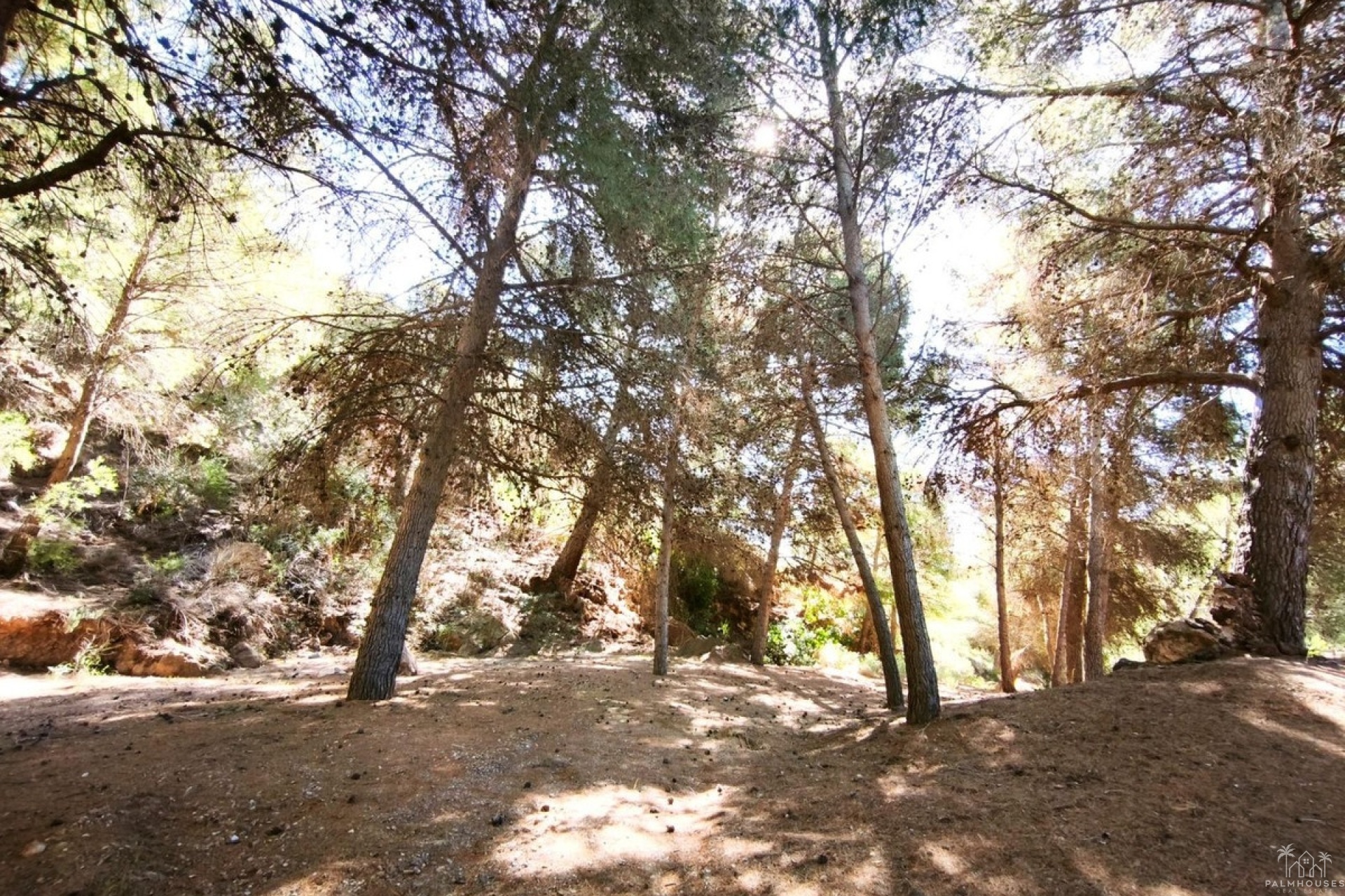 Venta - Plot - Lorca - Lorca Centro