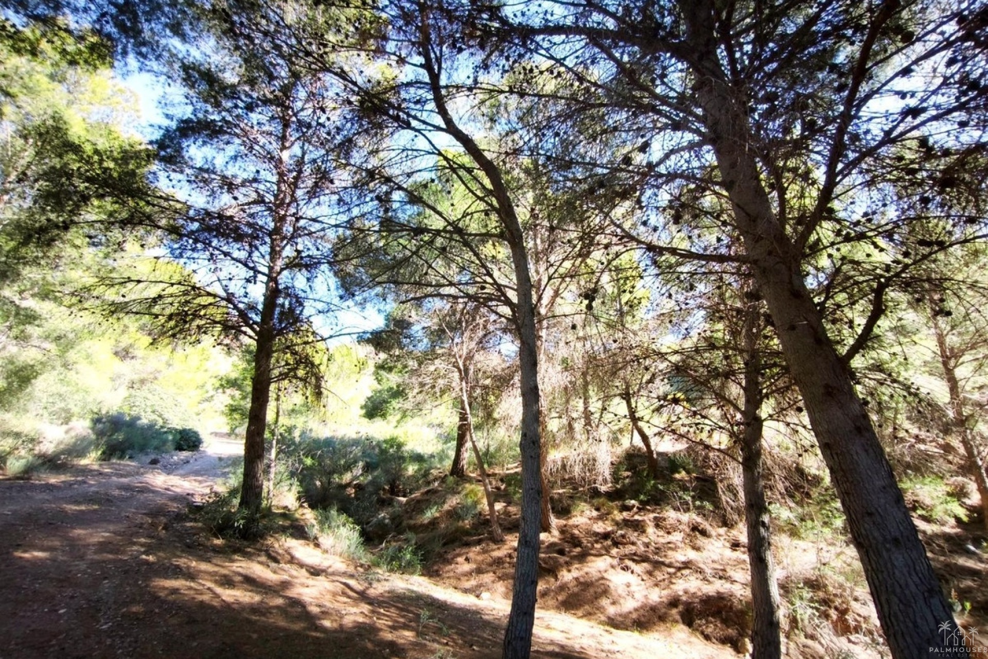 Venta - Plot - Lorca - Lorca Centro