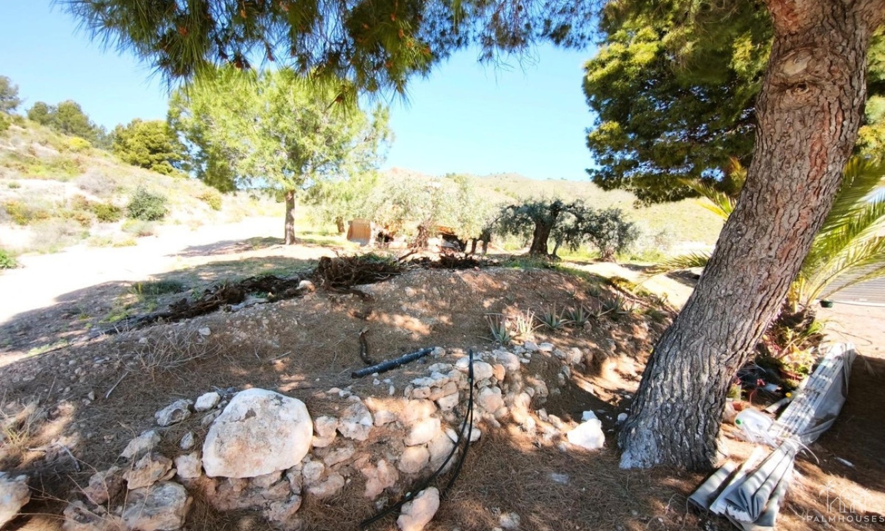 Venta - Plot - Lorca - Lorca Centro