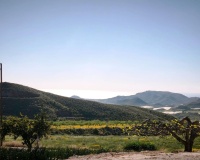 Venta - Plot - Lorca - Lorca Centro