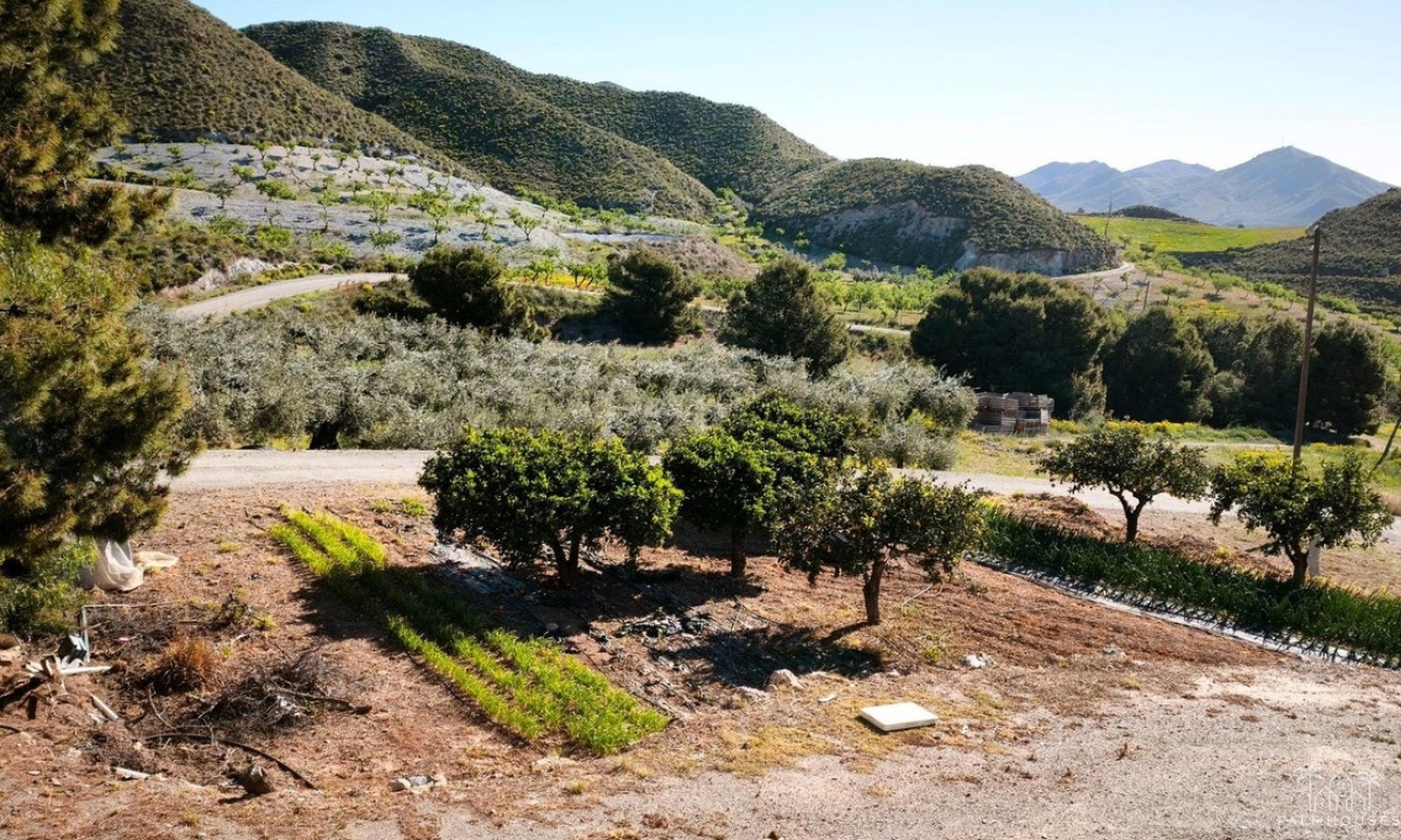 Venta - Plot - Lorca - Lorca Centro