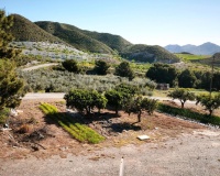 Venta - Plot - Lorca - Lorca Centro
