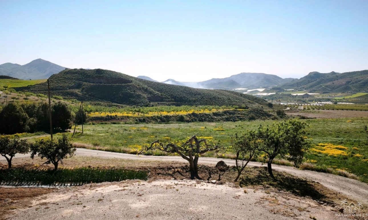 Venta - Plot - Lorca - Lorca Centro