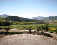 Venta - Plot - Lorca - Lorca Centro