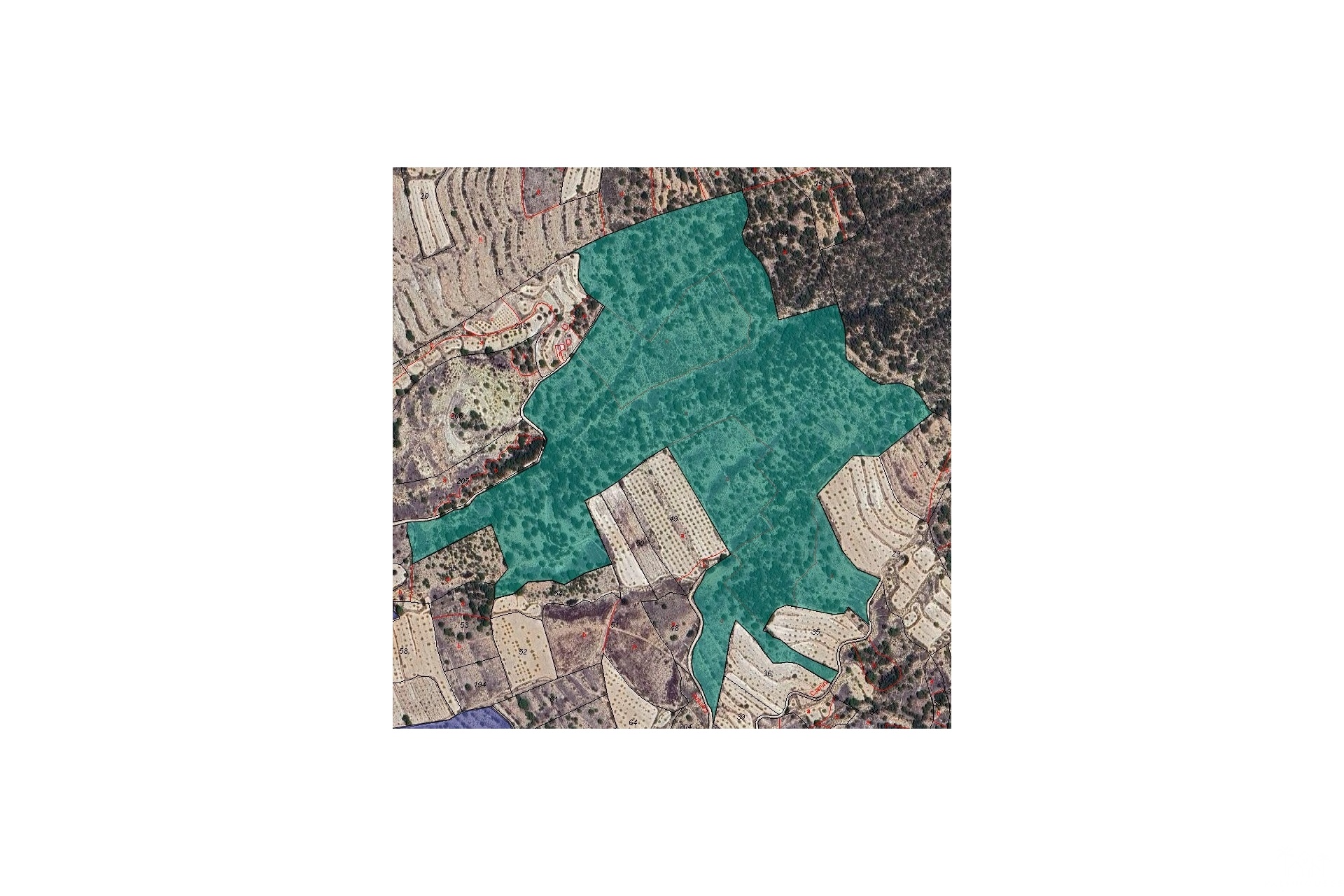 Venta - Plot - Monóvar - Monòver - Monóvar - Monòver Centro