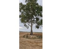 Venta - Plot - Murcia - Sucina