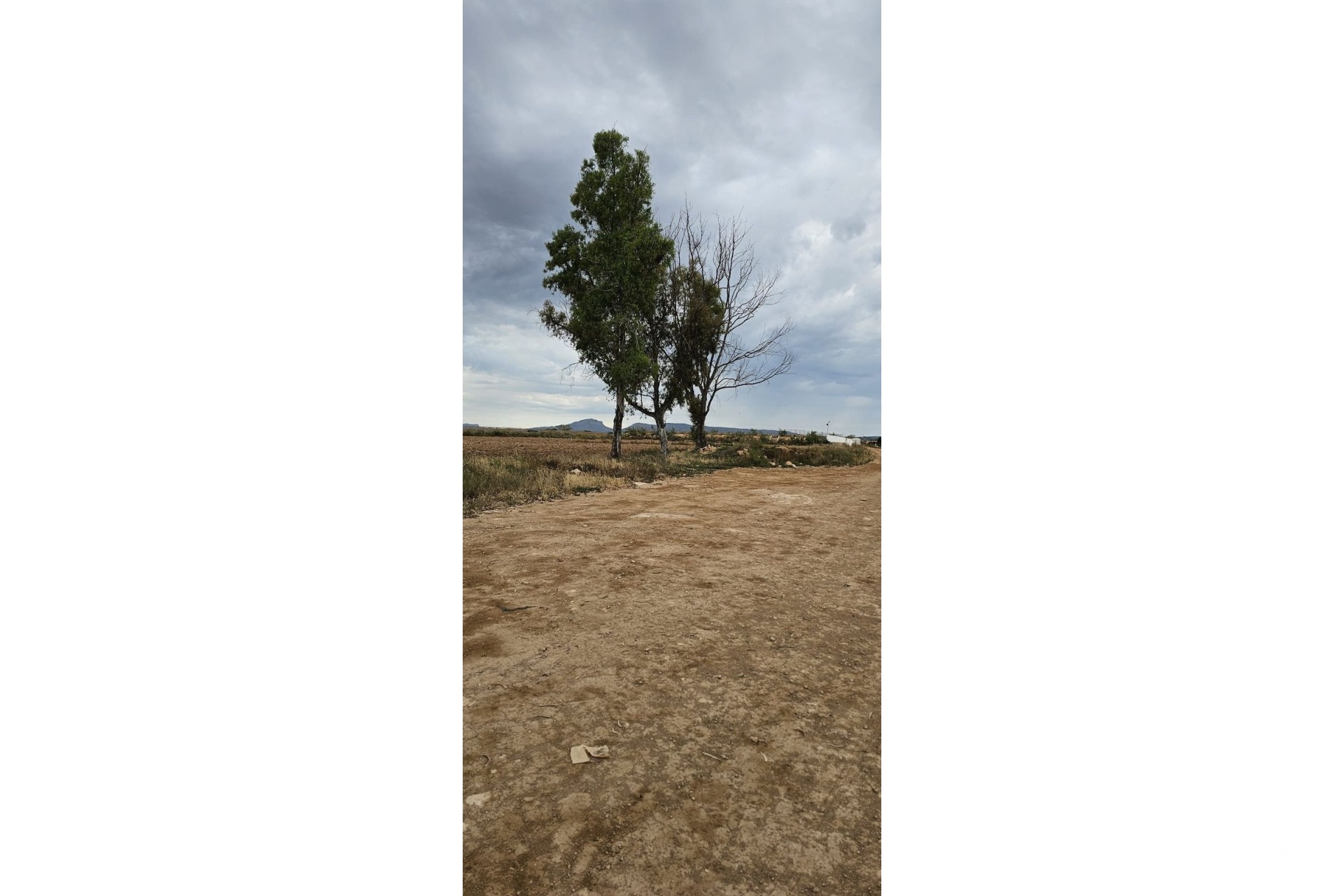 Venta - Plot - Murcia - Sucina
