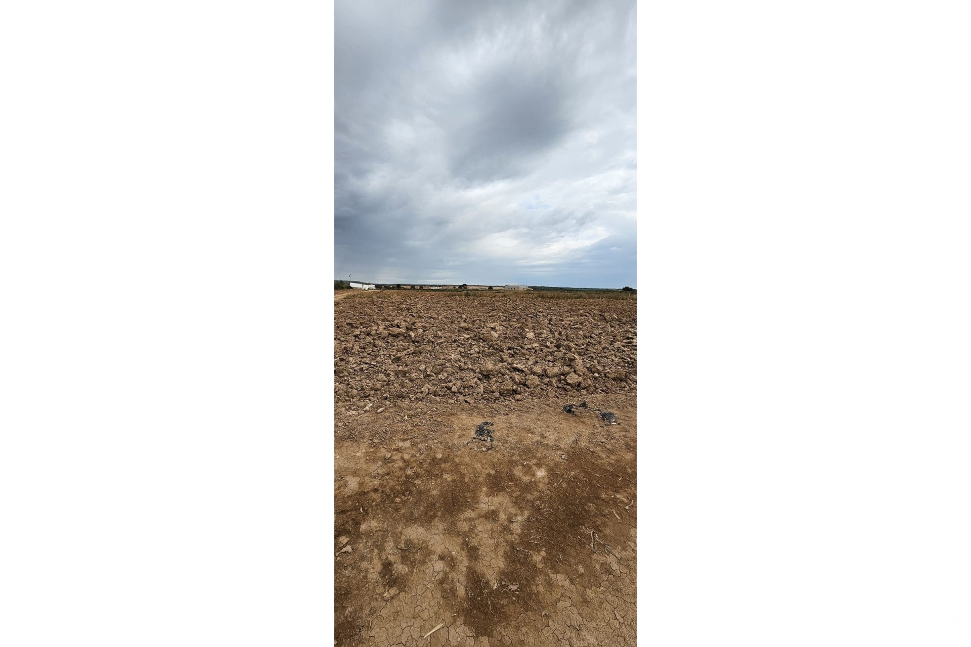 Venta - Plot - Murcia - Sucina