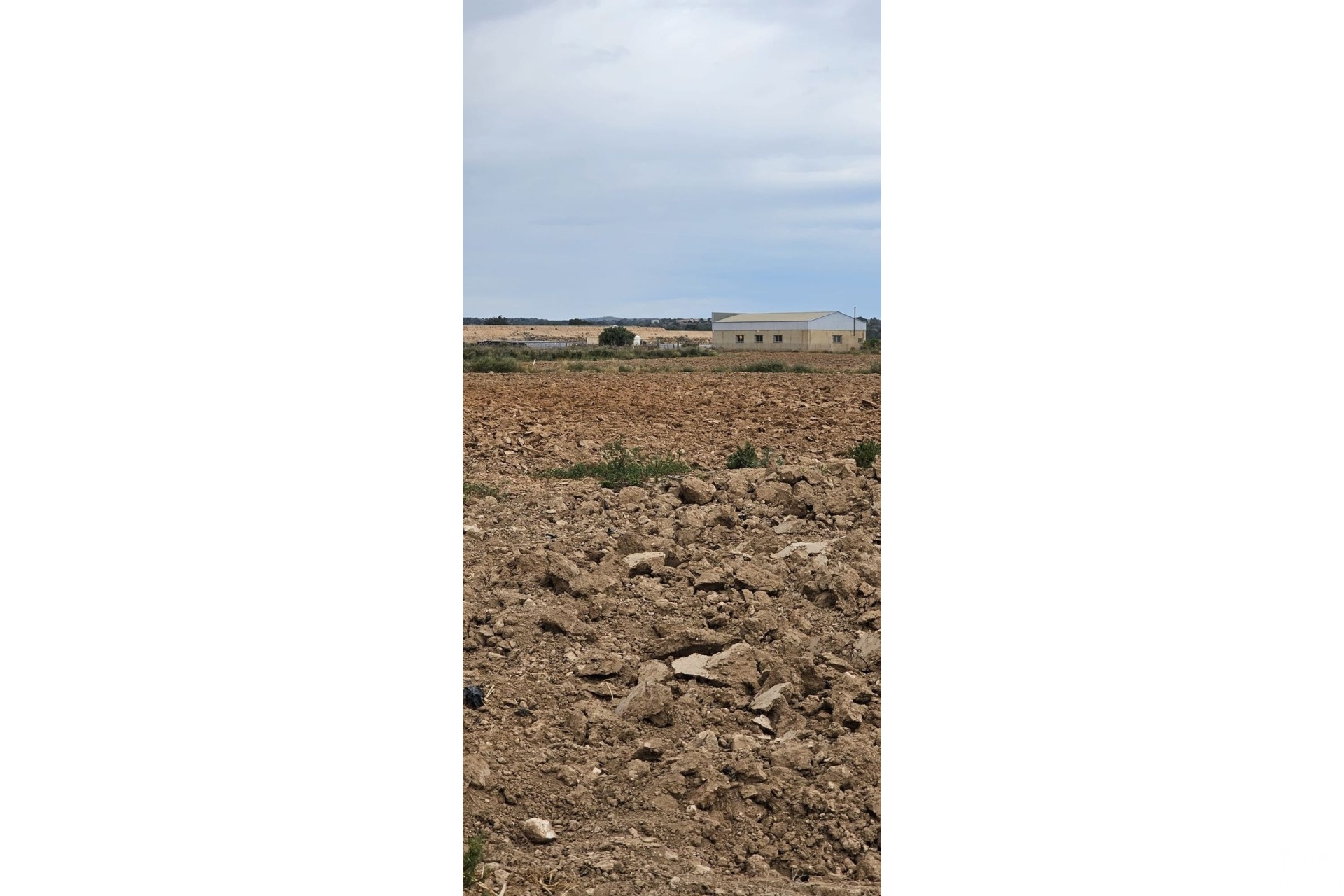 Venta - Plot - Murcia - Sucina
