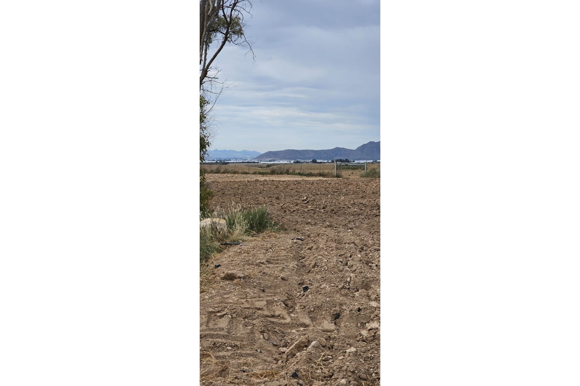 Venta - Plot - Murcia - Sucina