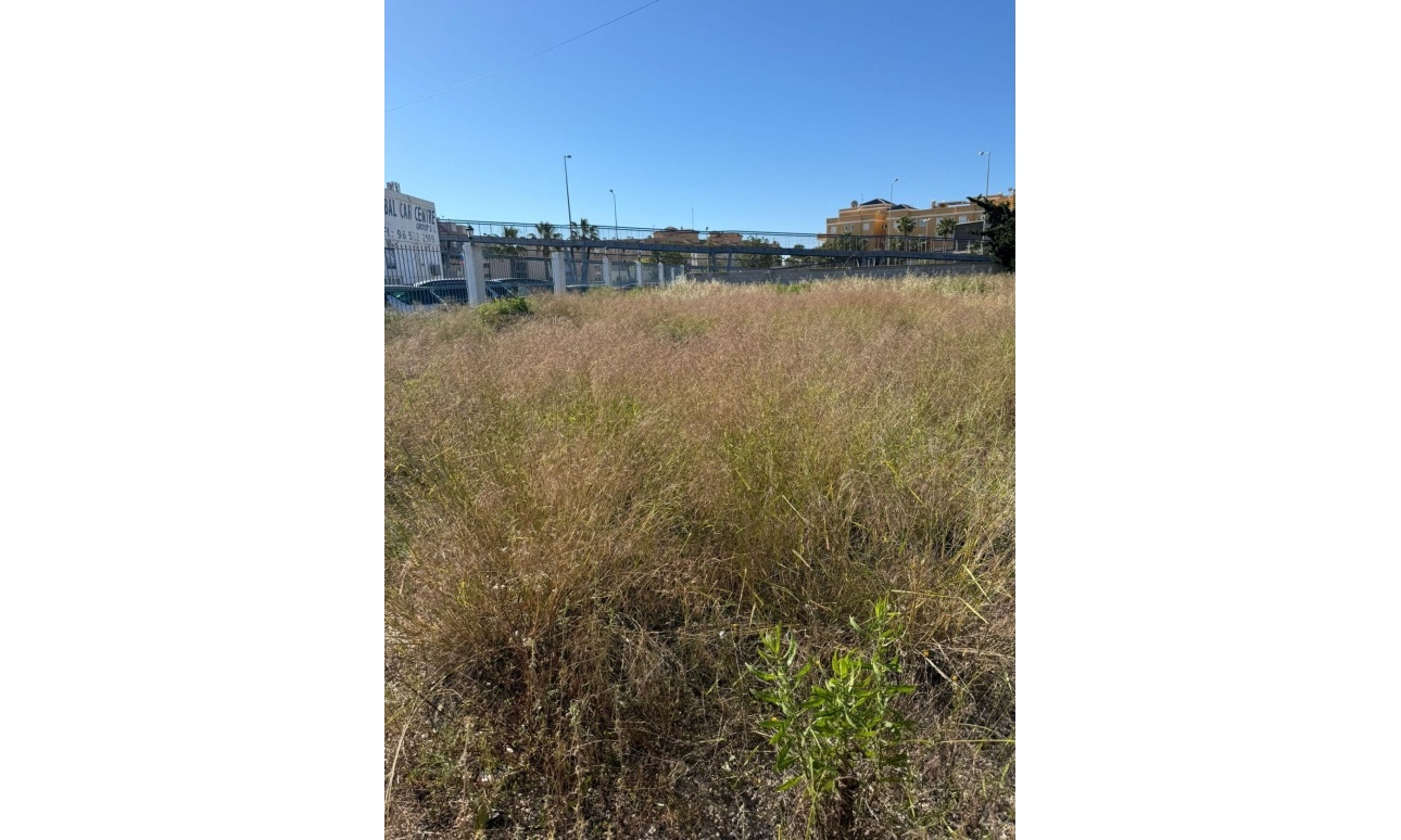 Venta - Plot - Orihuela Costa - La Regia