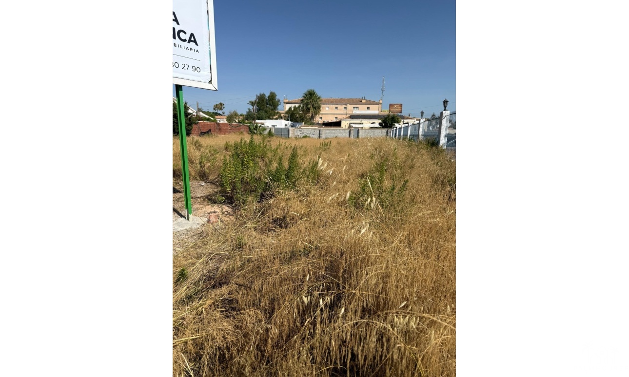 Venta - Plot - Orihuela Costa - La Regia
