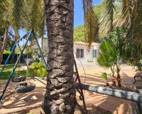 Venta - Plot - Orihuela Costa - Rocio Del Mar