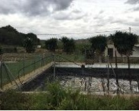 Venta - Plot - Orihuela - Desamparados-hurchillo-torremendo