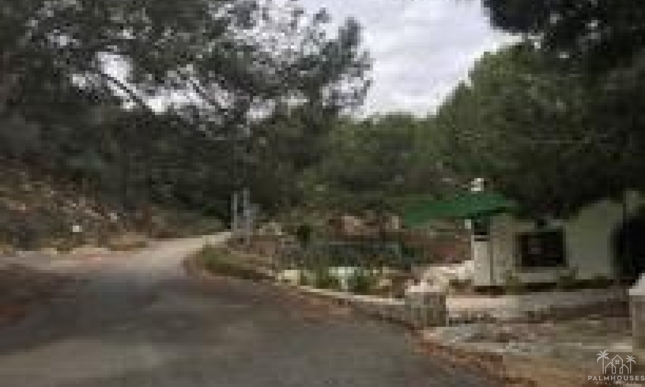 Venta - Plot - Orihuela - Desamparados-hurchillo-torremendo