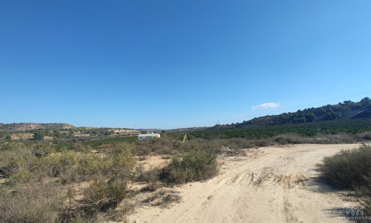 Venta - Plot - Orihuela - Torremendo