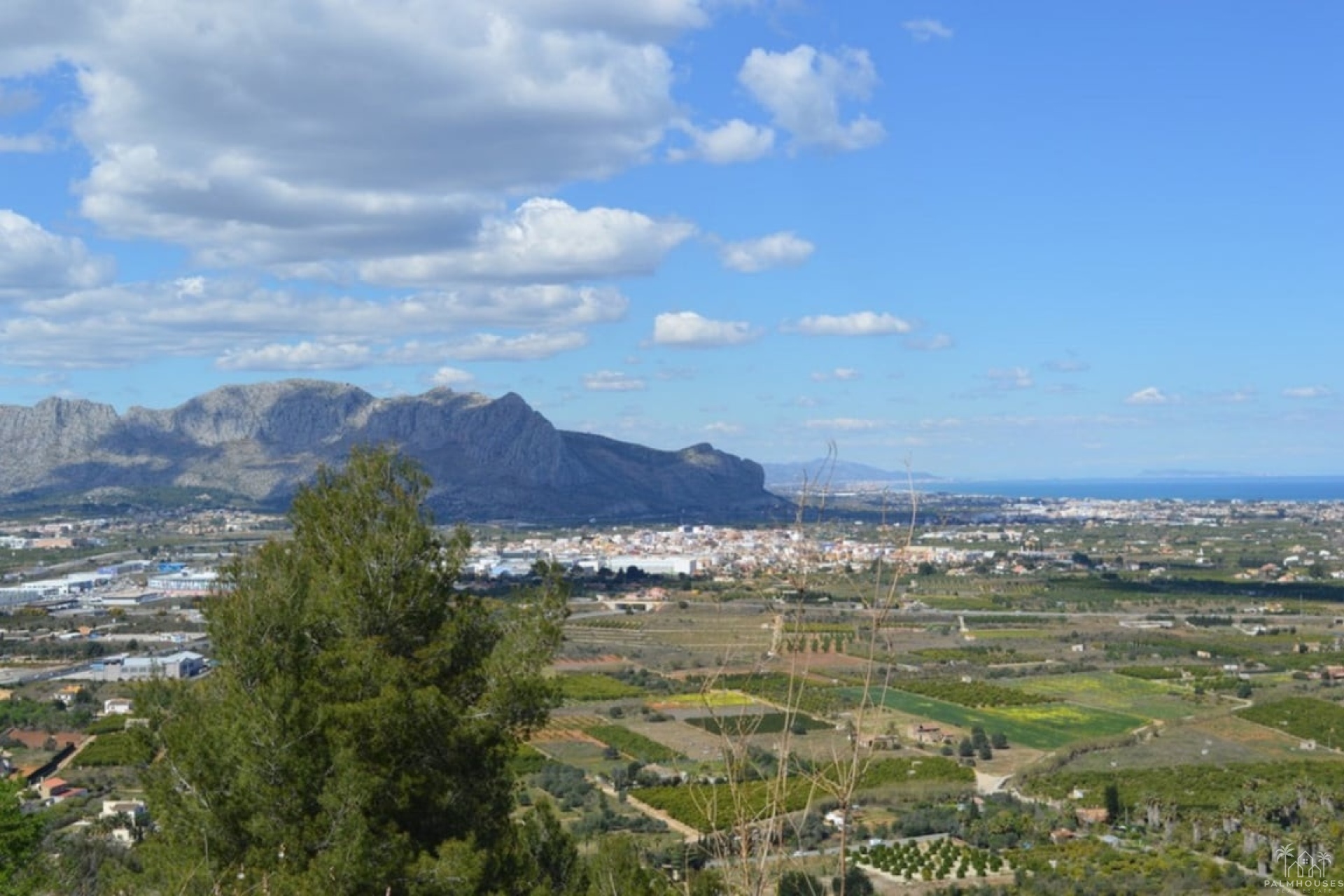 Venta - Plot - Pedreguer - Pedreguer Centro