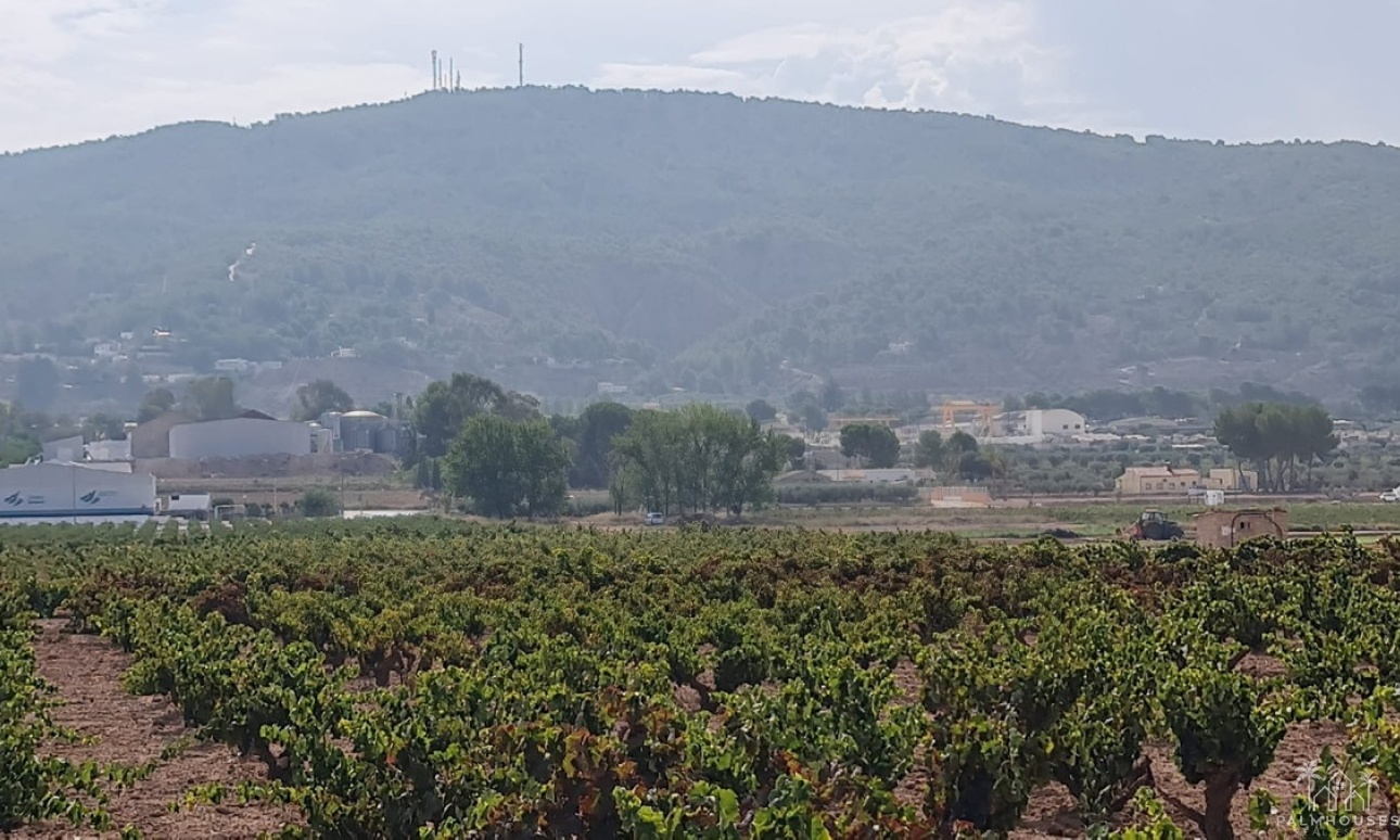 Venta - Plot - Pinoso - Pinoso Centro