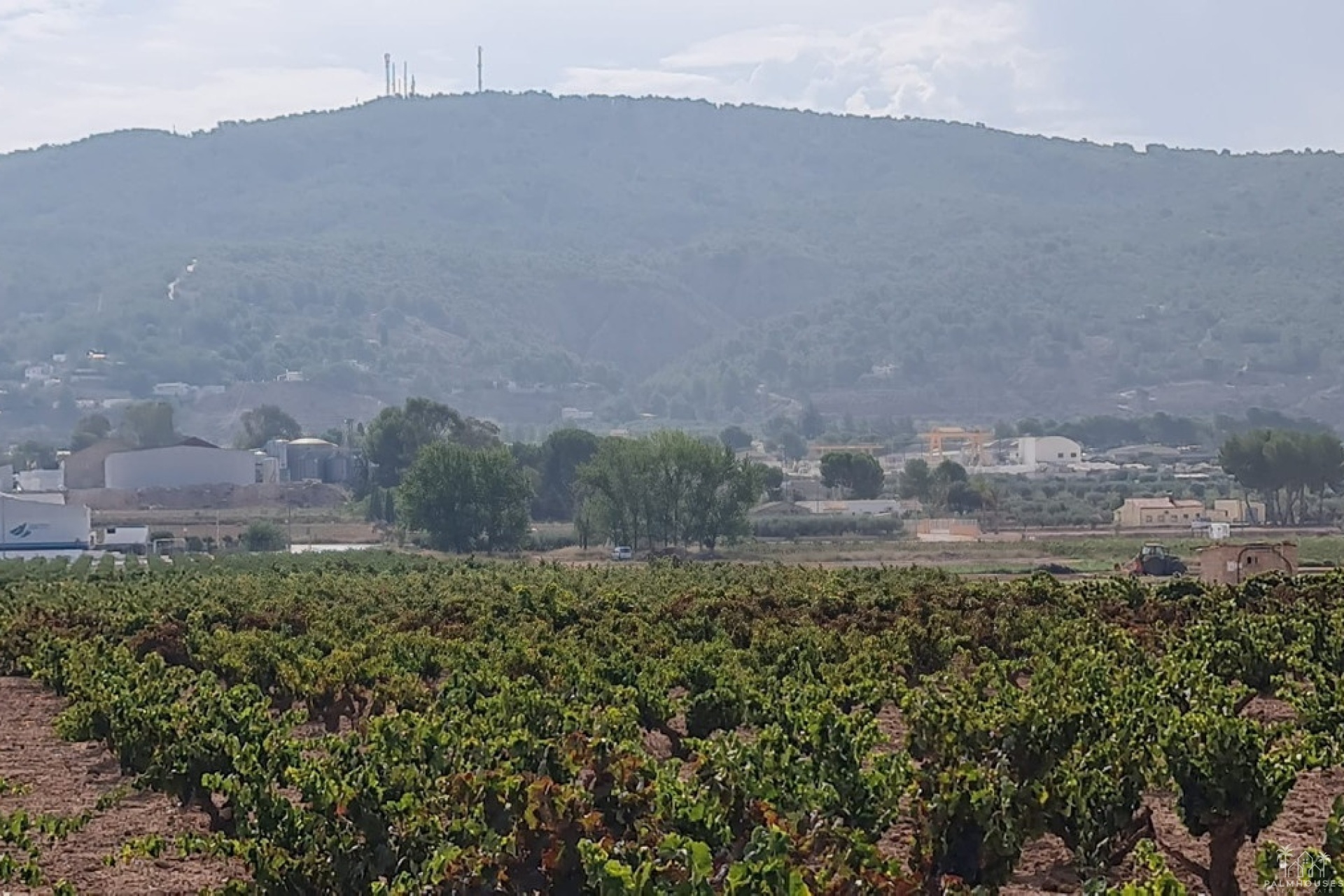 Venta - Plot - Pinoso - Pinoso Centro