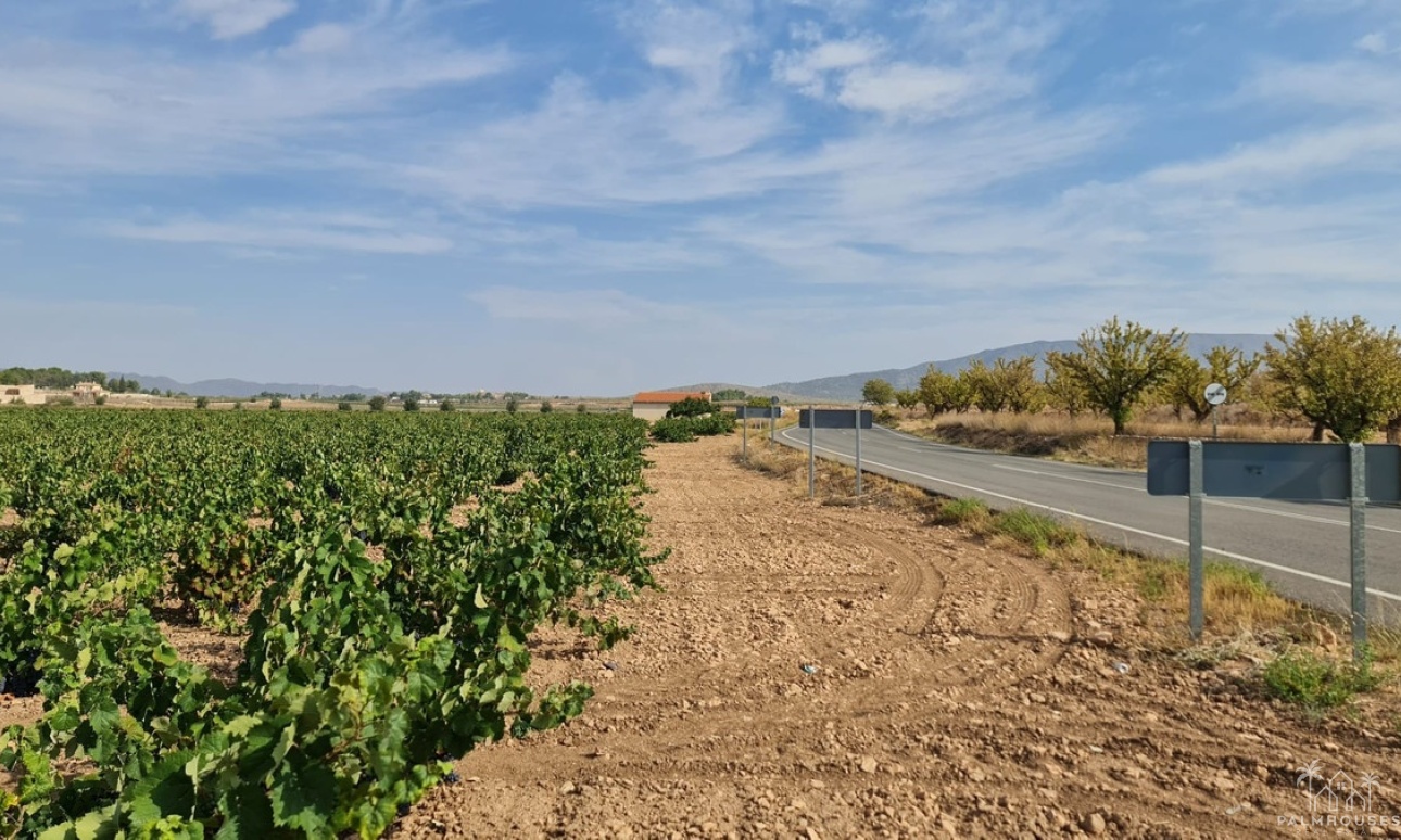 Venta - Plot - Pinoso - Pinoso Centro