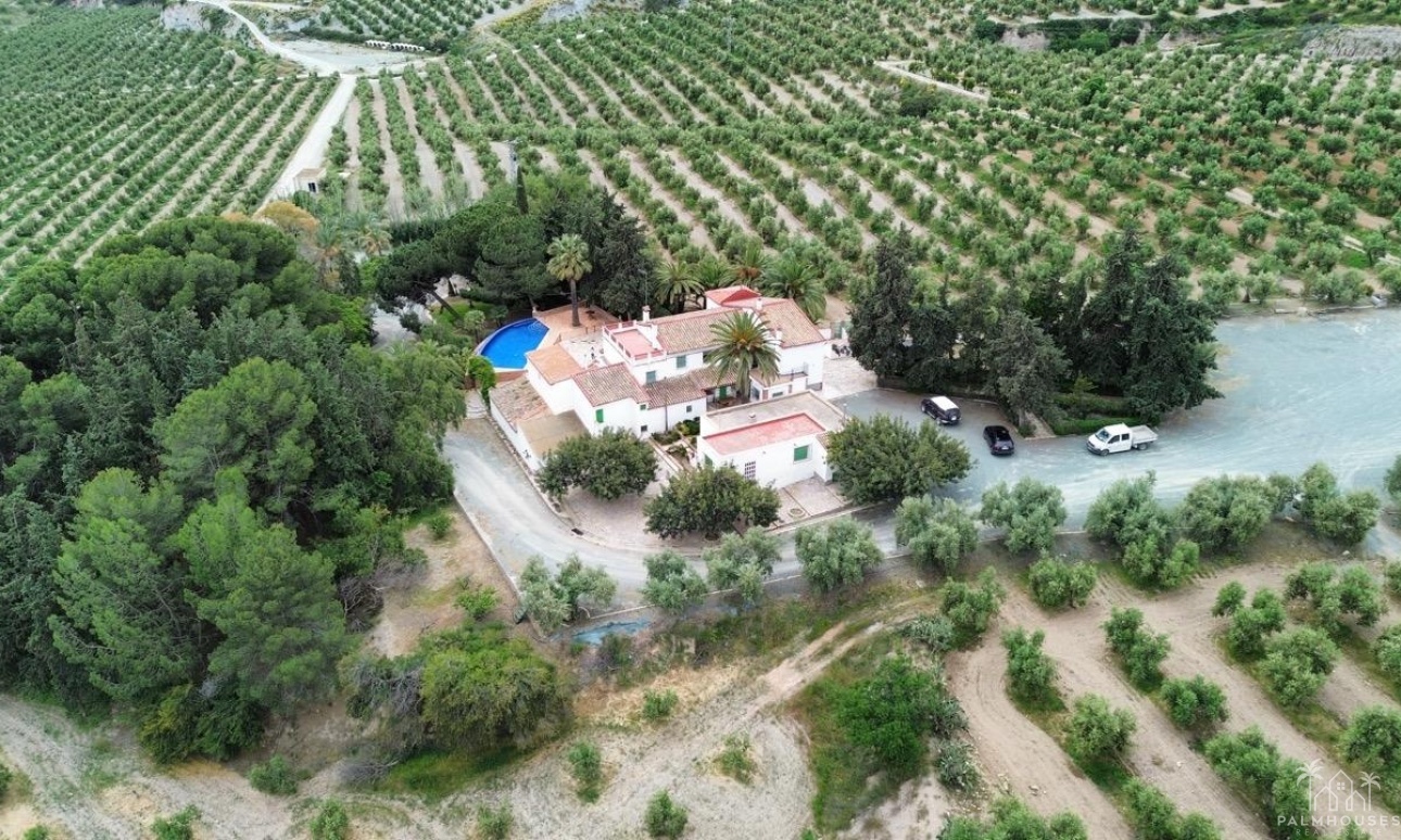 Venta - Plot - Puerto Lumbreras - Inland