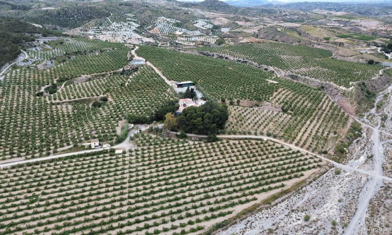 Venta - Plot - Puerto Lumbreras - Inland