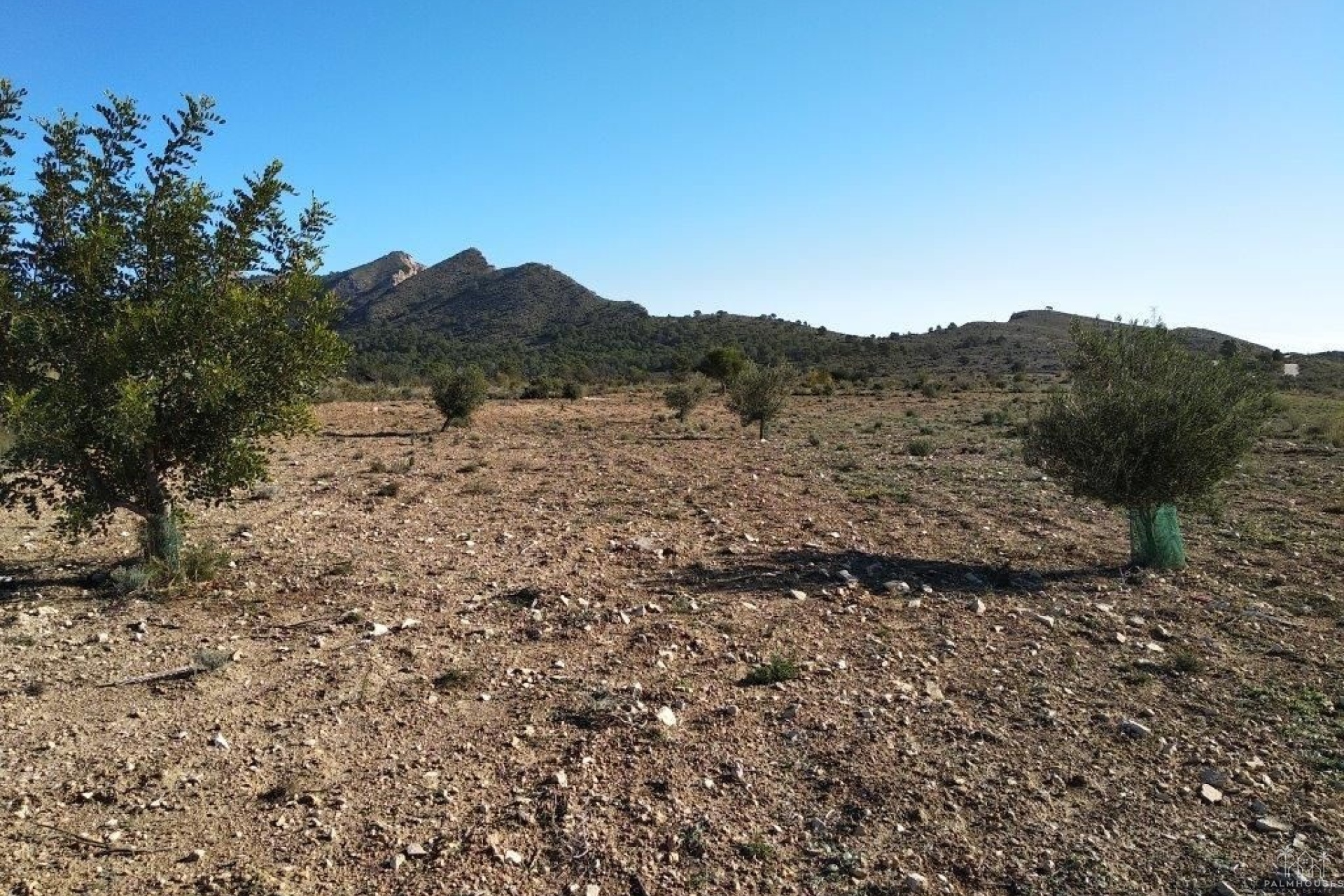 Venta - Plot - Relleu - Relleu Centro