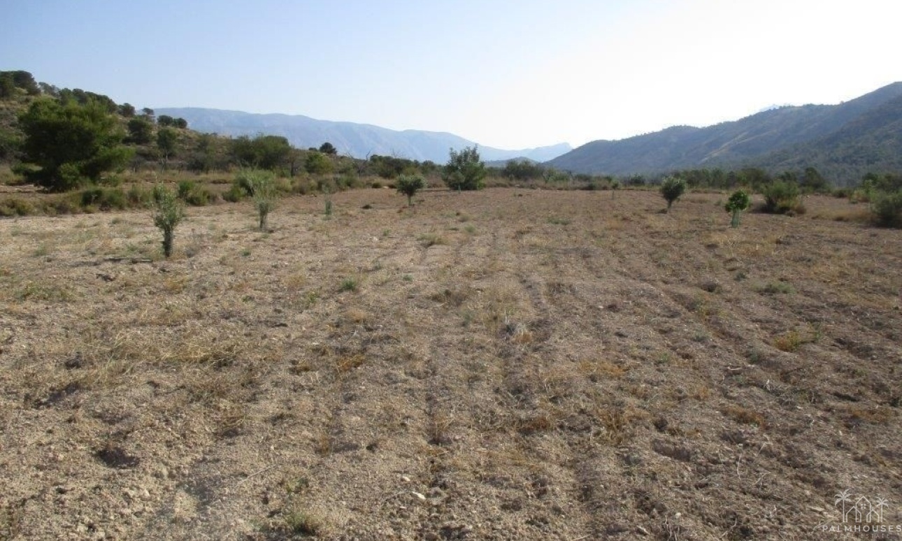 Venta - Plot - Relleu - Relleu Centro