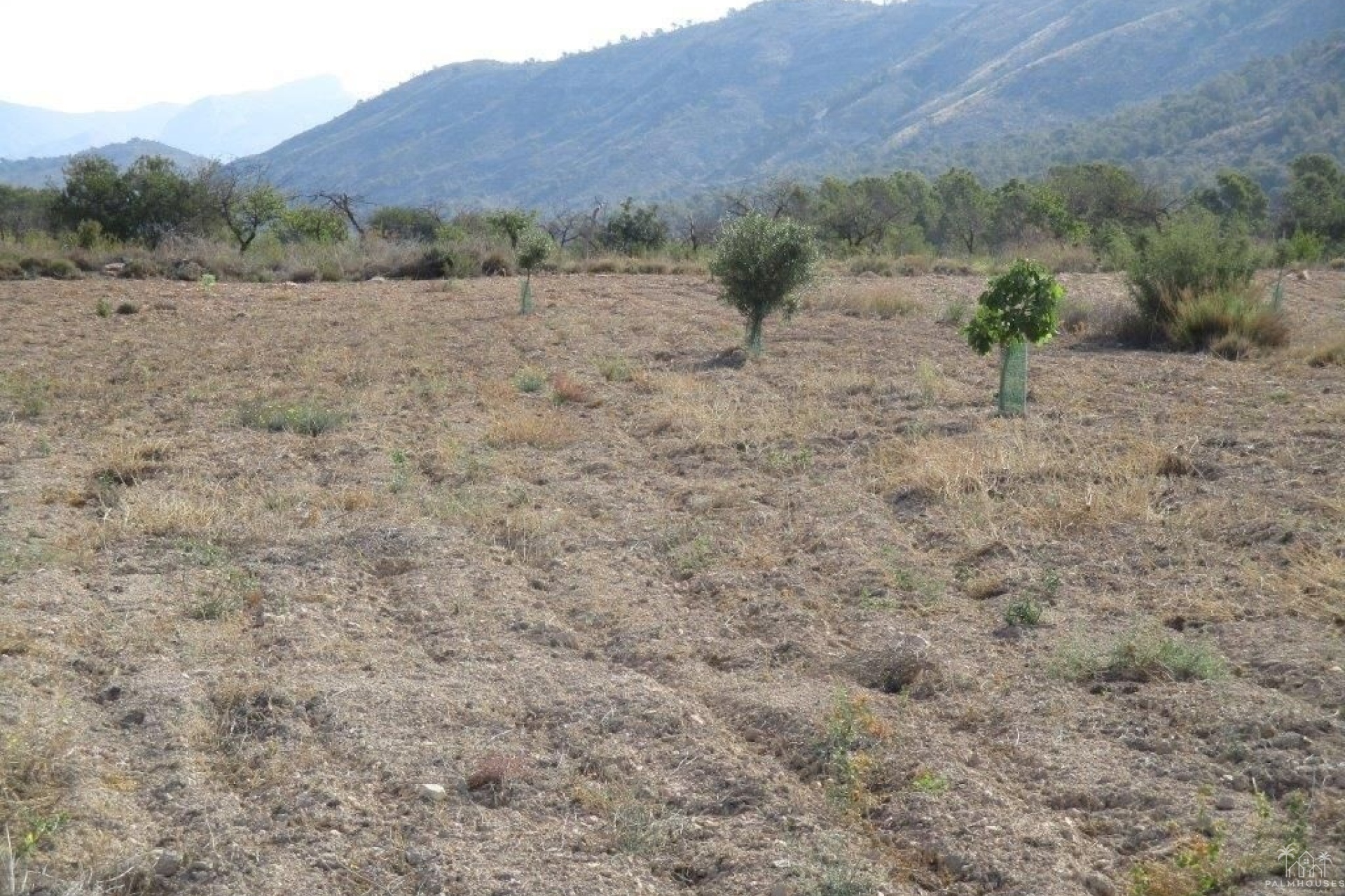 Venta - Plot - Relleu - Relleu Centro