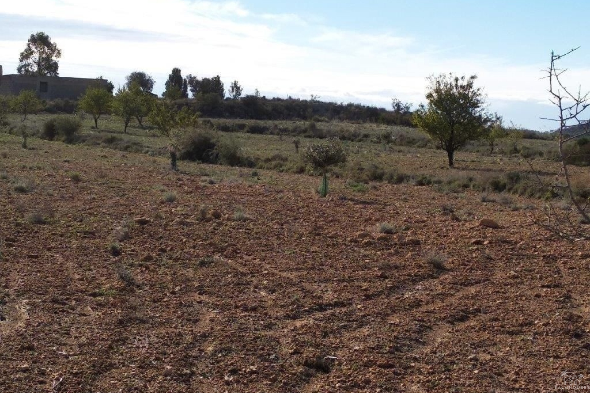 Venta - Plot - Relleu - Relleu Centro