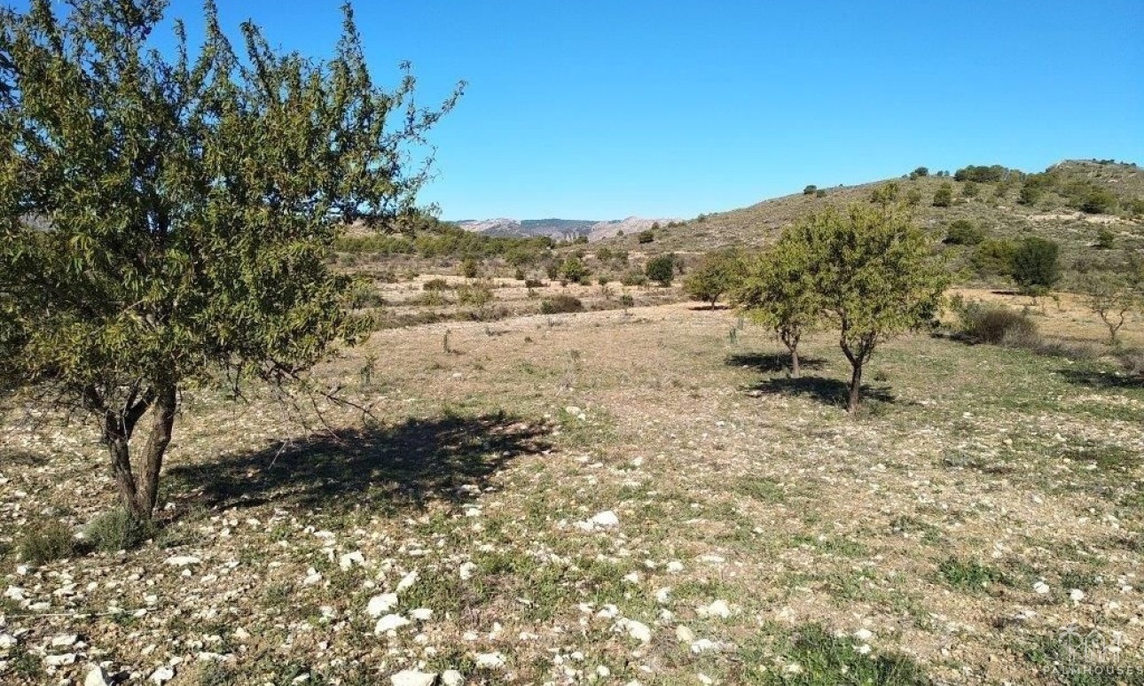 Venta - Plot - Relleu - Relleu Centro