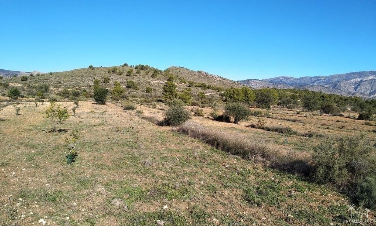 Venta - Plot - Relleu - Relleu Centro