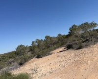 Venta - Plot - San Fulgencio - La Marina