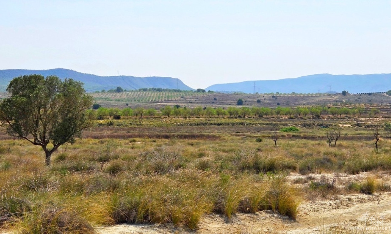 Venta - Plot - San Miguel de Salinas - San Miguel de Salinas Centro