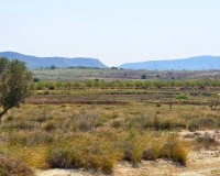 Venta - Plot - San Miguel de Salinas - San Miguel de Salinas Centro