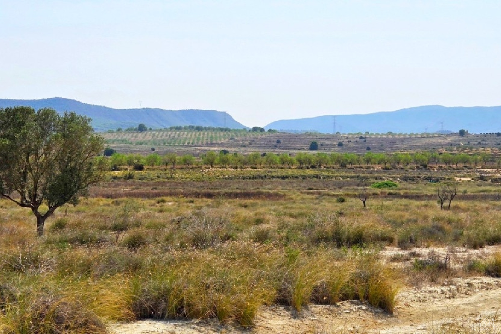 Venta - Plot - San Miguel de Salinas - San Miguel de Salinas Centro