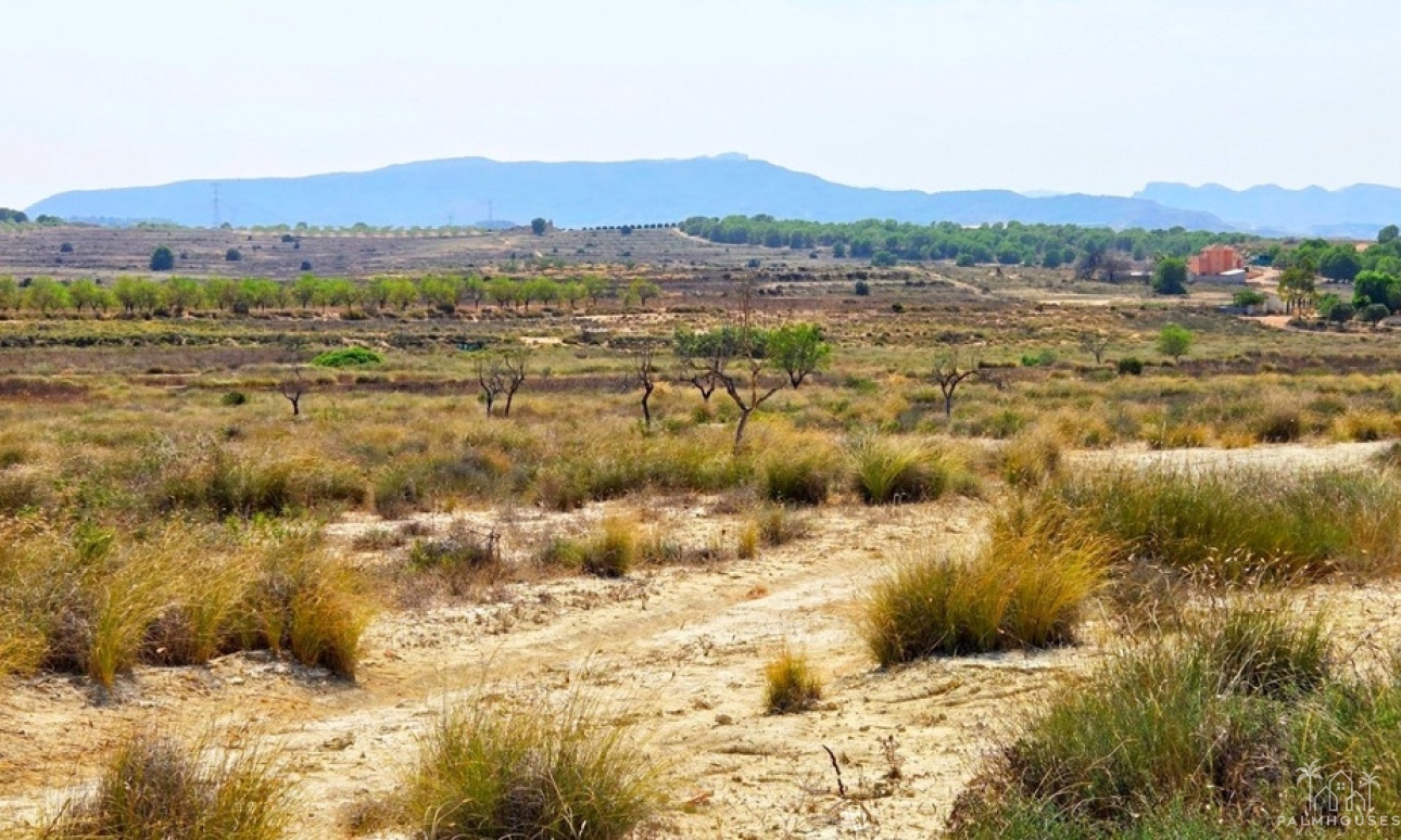 Venta - Plot - San Miguel de Salinas - San Miguel de Salinas Centro
