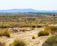 Venta - Plot - San Miguel de Salinas - San Miguel de Salinas Centro