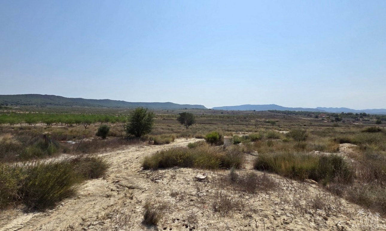 Venta - Plot - San Miguel de Salinas - San Miguel de Salinas Centro