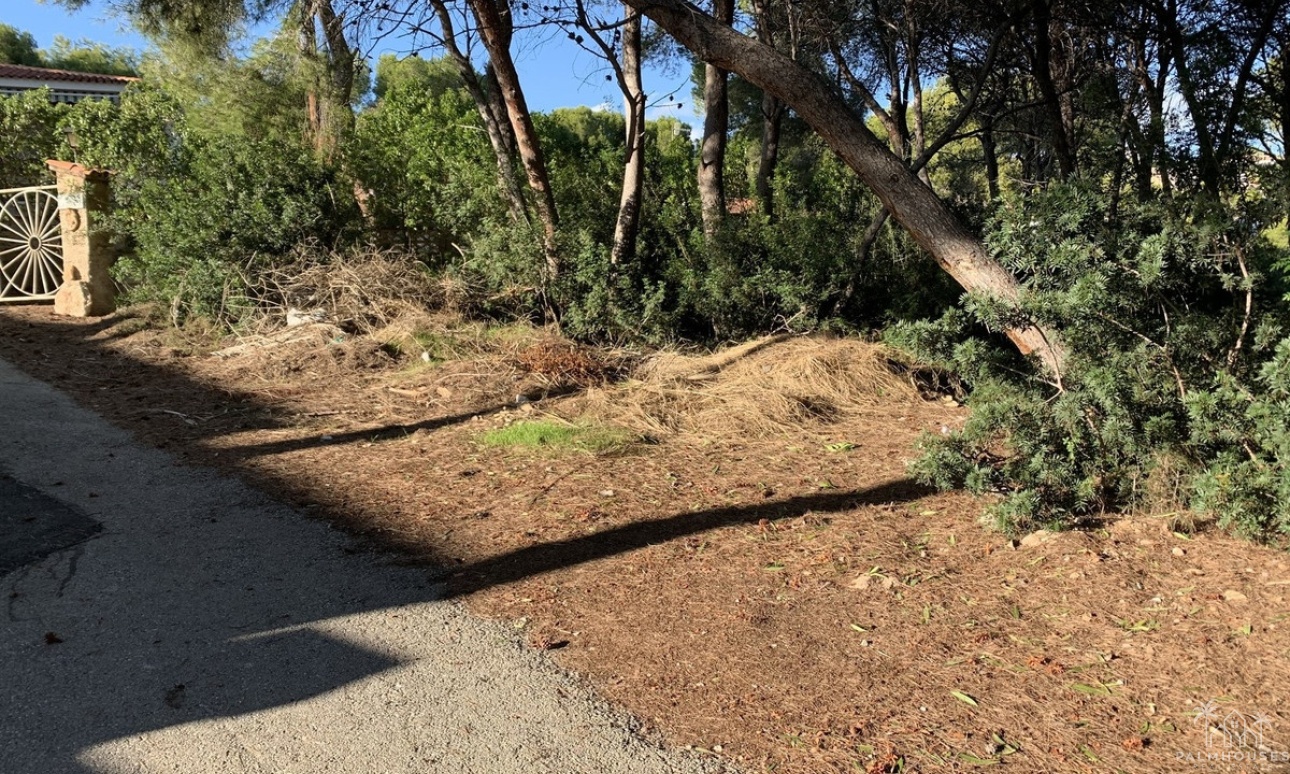 Venta - Plot - Teulada - Moraira