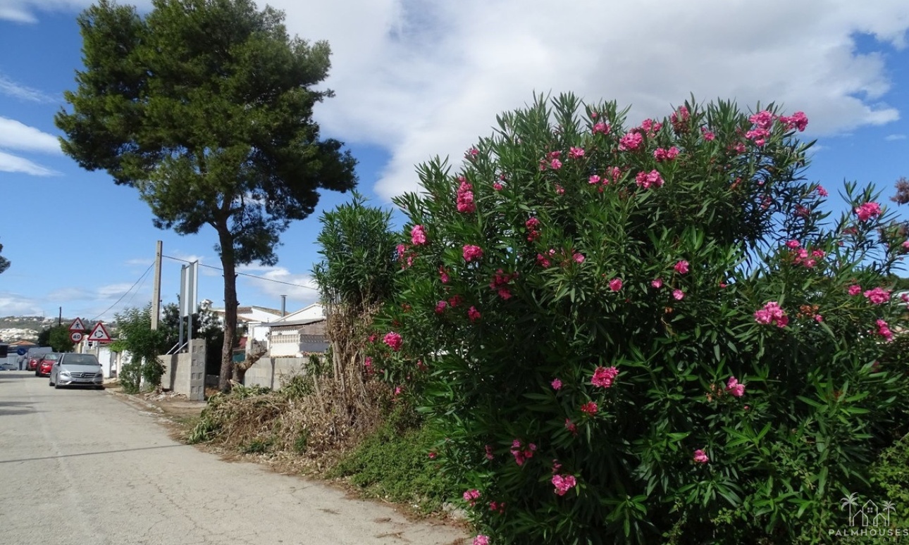 Venta - Plot - Teulada - Teulada Centro