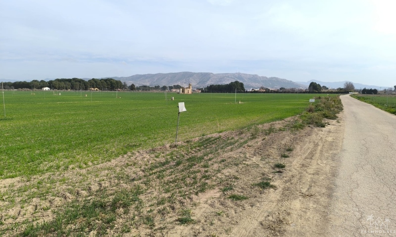 Venta - Plot - Villena - Villena Centro