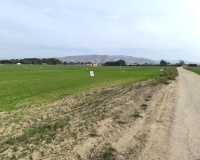 Venta - Plot - Villena - Villena Centro