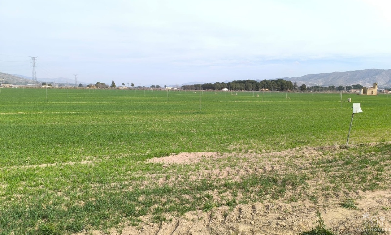 Venta - Plot - Villena - Villena Centro