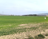 Venta - Plot - Villena - Villena Centro