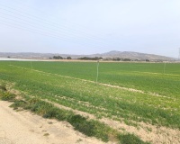 Venta - Plot - Villena - Villena Centro