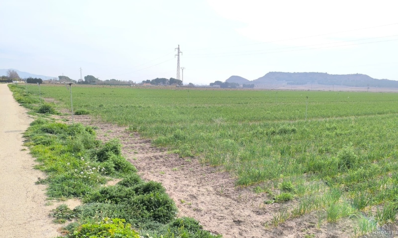 Venta - Plot - Villena - Villena Centro