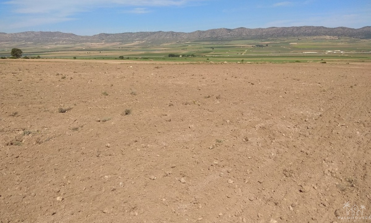 Venta - Plot - Yecla - Yecla Centro