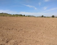 Venta - Plot - Yecla - Yecla Centro