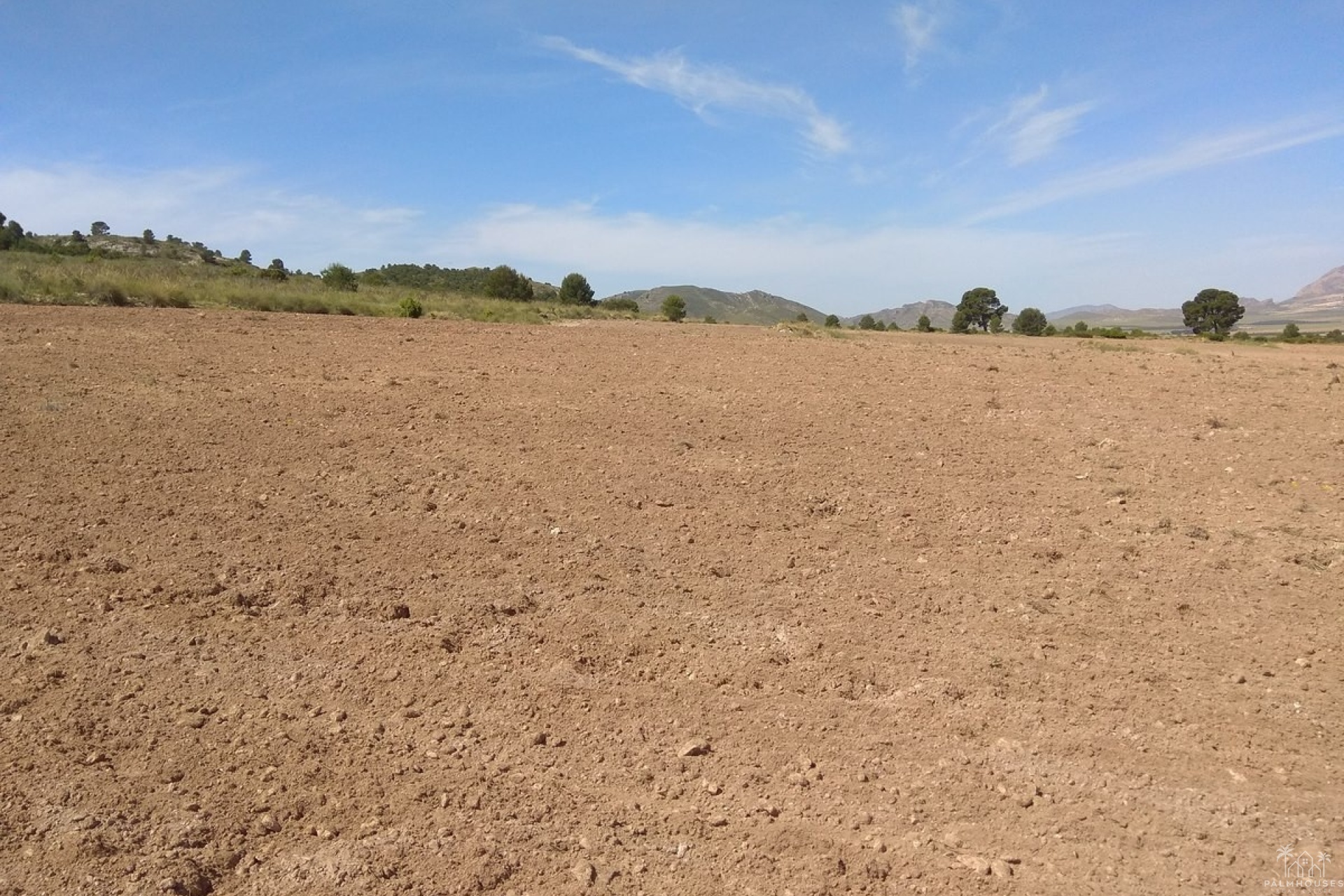Venta - Plot - Yecla - Yecla Centro